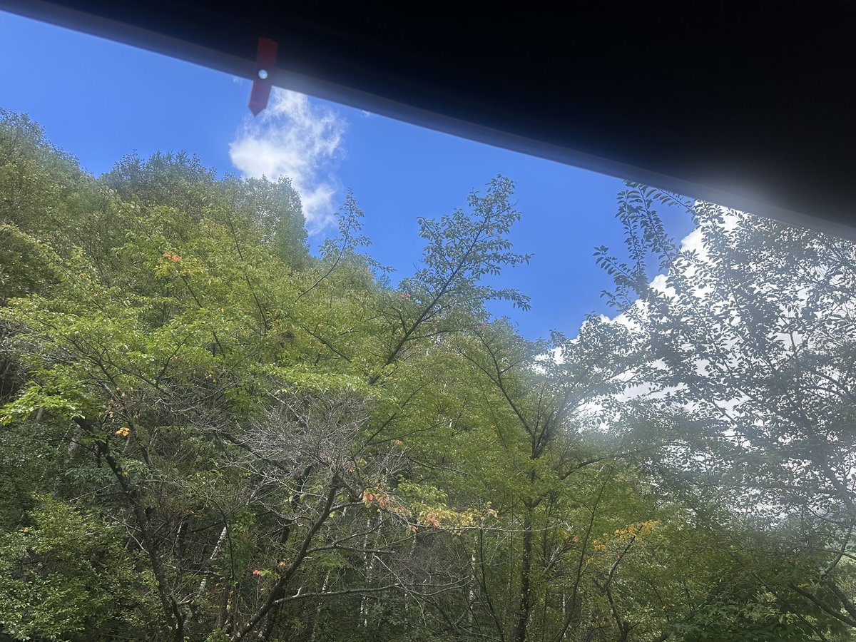 AfterGlow__Y33's tweet photo. 2泊3日のキャンプ
安定の雨
特に2日目は1日中土砂降り

でも最近は雨が好きなんだよ
雨音がすごく落ち着くし、雨の匂いも良いんだ
いつもより何もしない時間が多かったな
雨は嫌だとか言ってたけど、慣れると良いもんだよ

で、最終日に晴れてくれるのはタープが乾いてありがたい https://t.co/WDAyMSfBcY