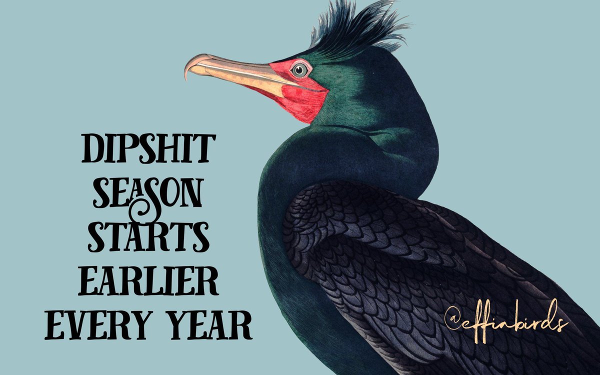 EffinBirds's tweet photo. https://t.co/ylvMl1Ja9k