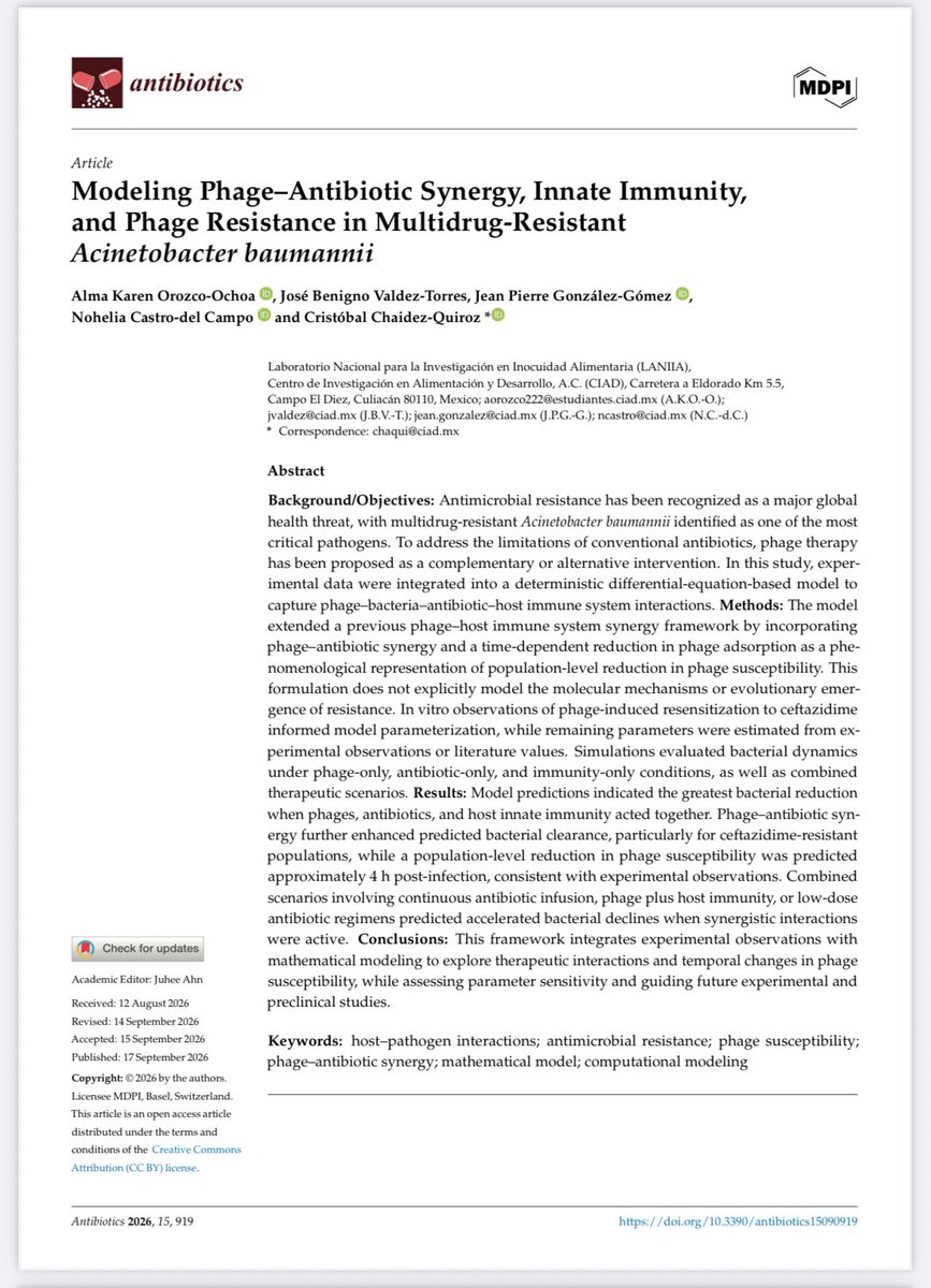 almakorozco's tweet photo. 🦠🔬 New publication!

This study uses mathematical modeling to explore how phages, antibiotics, and the immune response interact against multidrug-resistant A. baumannii, affecting bacterial dynamics and phage susceptibility. @antibioticsmdpi 

📄 https://t.co/WE9bMcx6m7 https://t.co/149cpviJcl