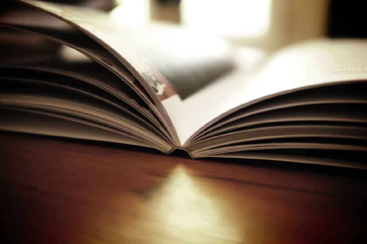 EfrenBetscjl's tweet photo. Leer un libro cada día es abrir una puerta a mundos nuevos. Hoy empieza con una novela que te atrapará!， https://t.co/wjw1KedmWl