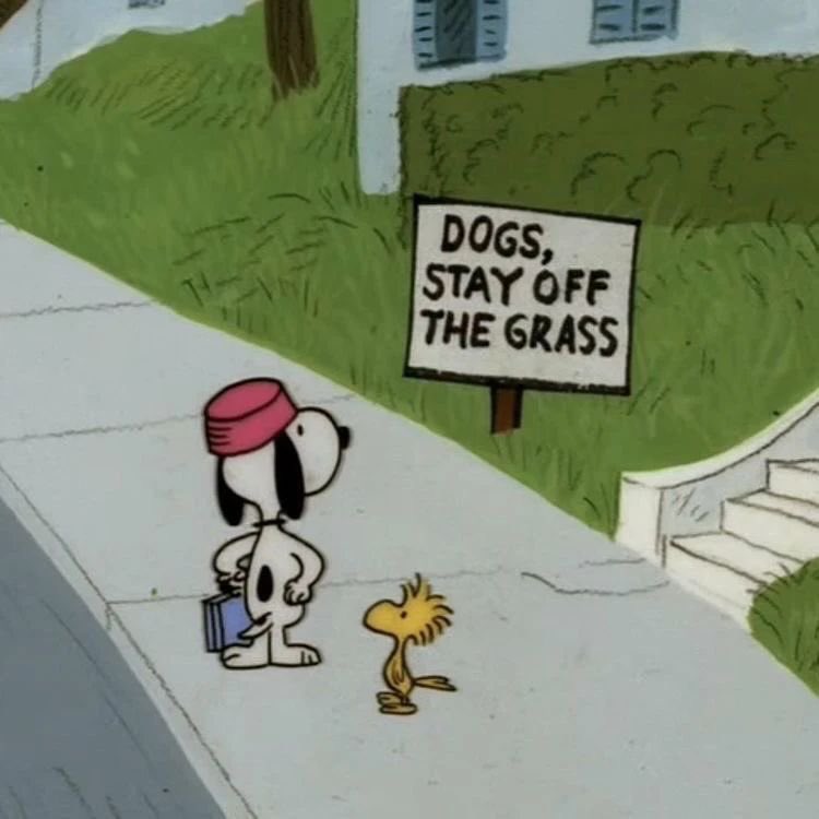 DailySnoopys's tweet photo. :( https://t.co/Azd5dJwEkD