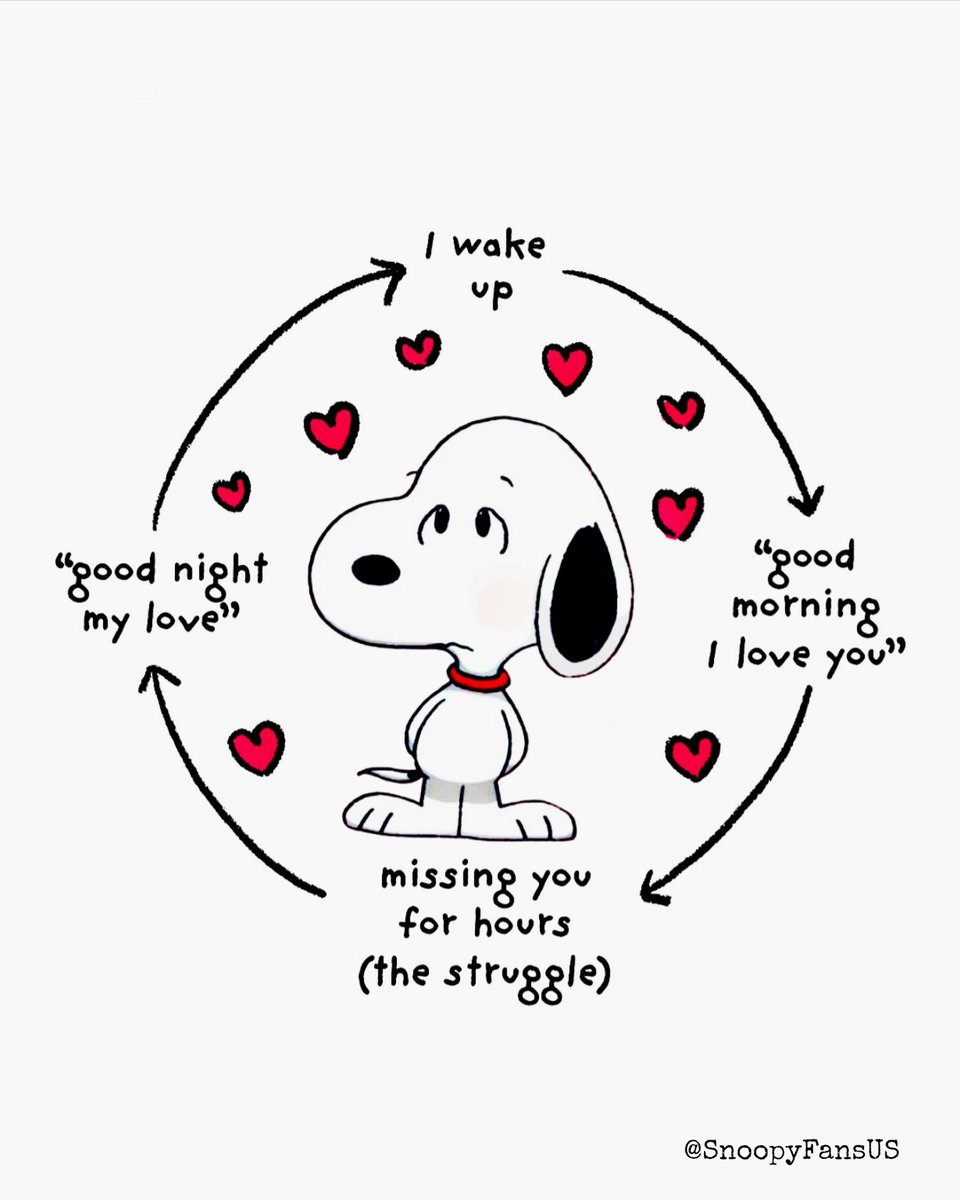 SnoopyFansUS's tweet photo. https://t.co/LTtgj3Zo2F