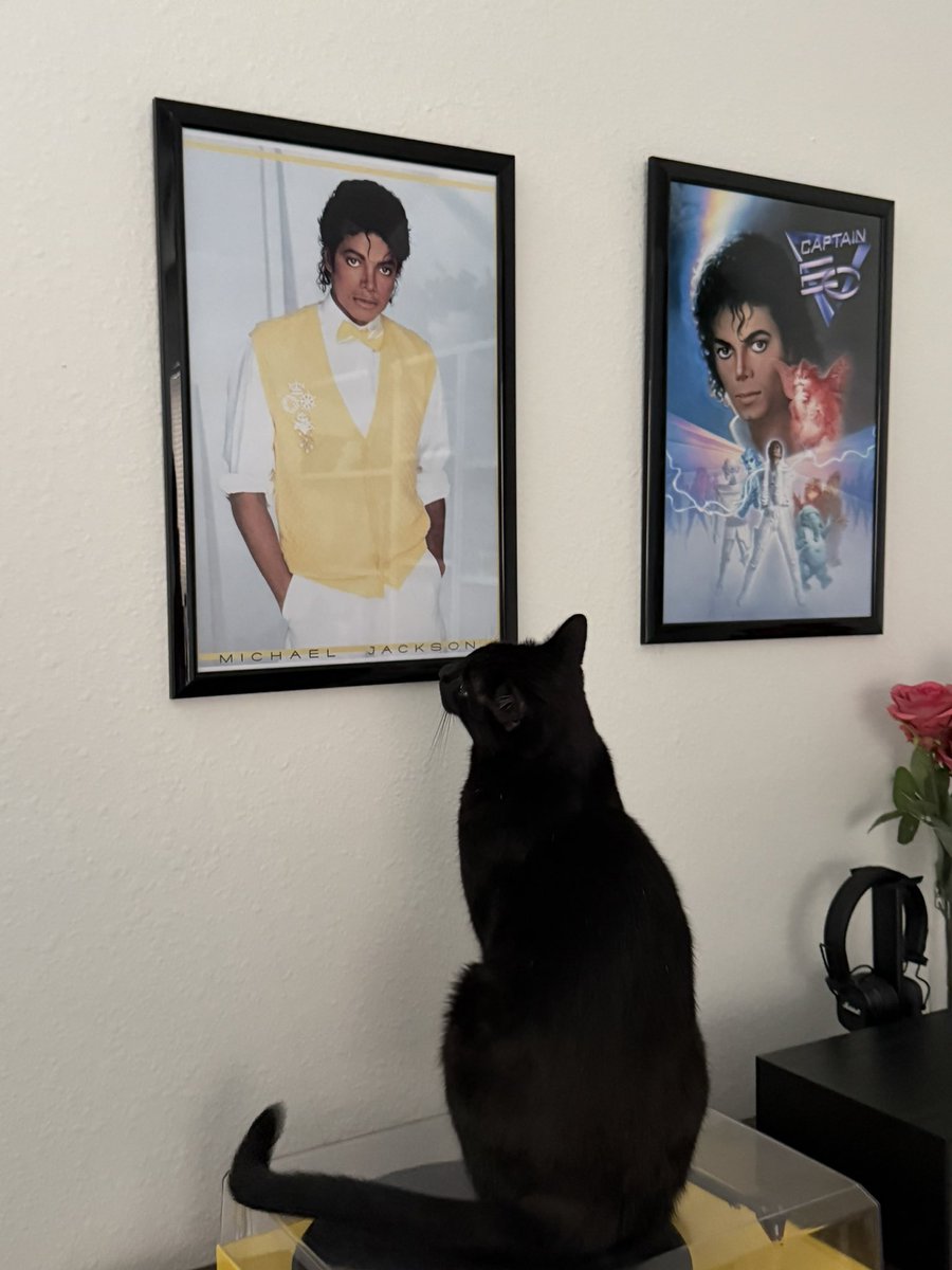 GET0NTHEFL00R's tweet photo. he loves michael too https://t.co/ft2P4vWKdR