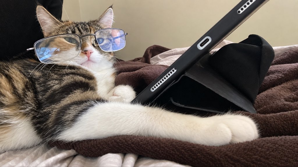 delonlyy's tweet photo. one reason to stay alive https://t.co/2sKd2MSwqz
