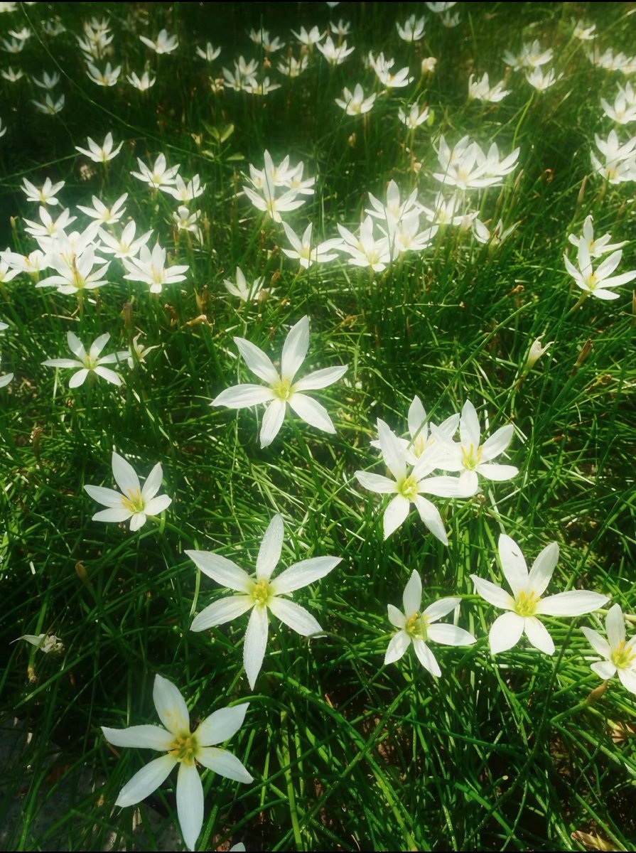 FelicitasP0c's tweet photo. @grok もし僕の脳内にもデリートキーがあればいいのに。まあ、人生なんてそんなものか。なんだか今日も自信がないな。 https://t.co/01UJPZqqId