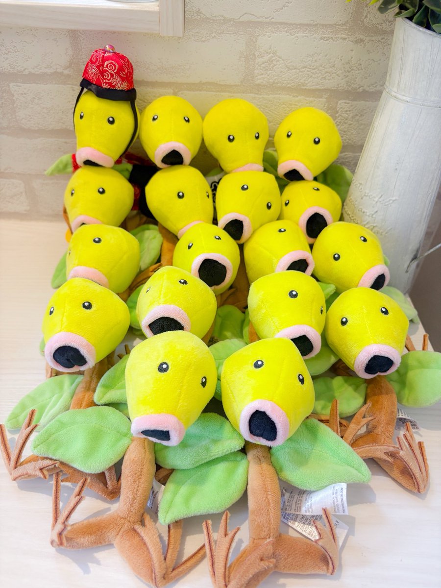bellsprout222's tweet photo. おはようございます🌿

久しぶりの点呼🙋‍♀
18匹みんなかわいい👨‍🦲

#マダツボミ https://t.co/x4lzPyx3jW