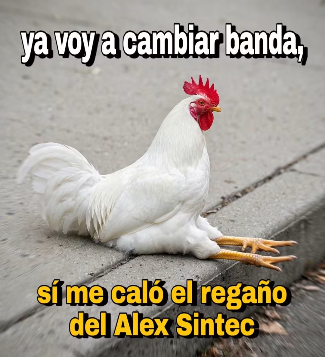 MadreSemestrosa's tweet photo. Reflexión bandita 🤭 https://t.co/zRdai6ZGla