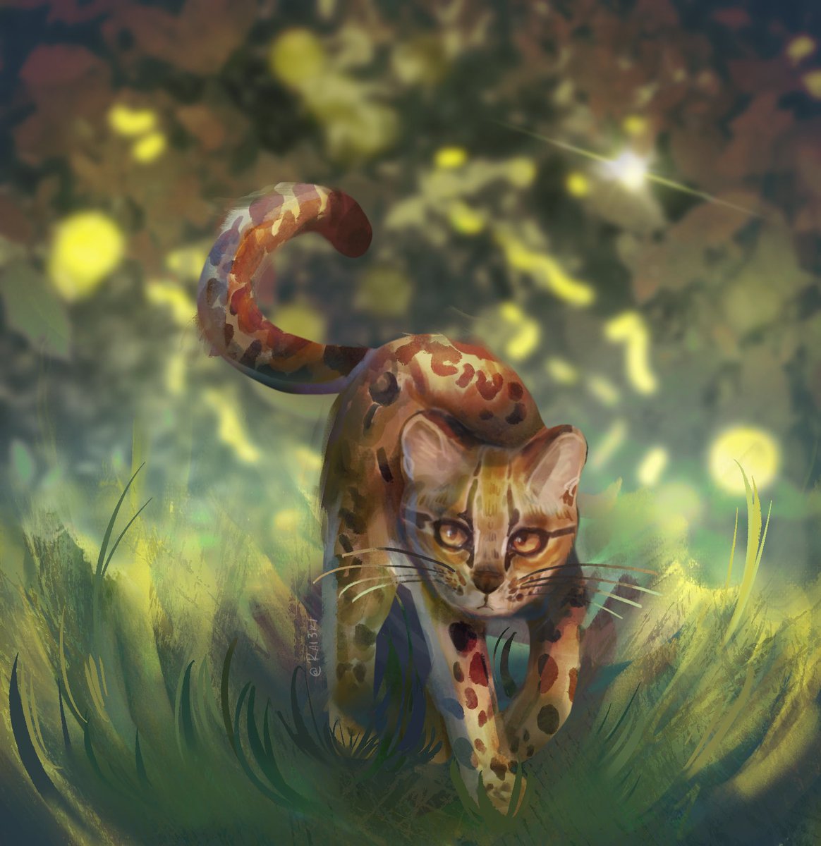 rai3ri's tweet photo. New cat has been released today https://t.co/kISaXFBTf1