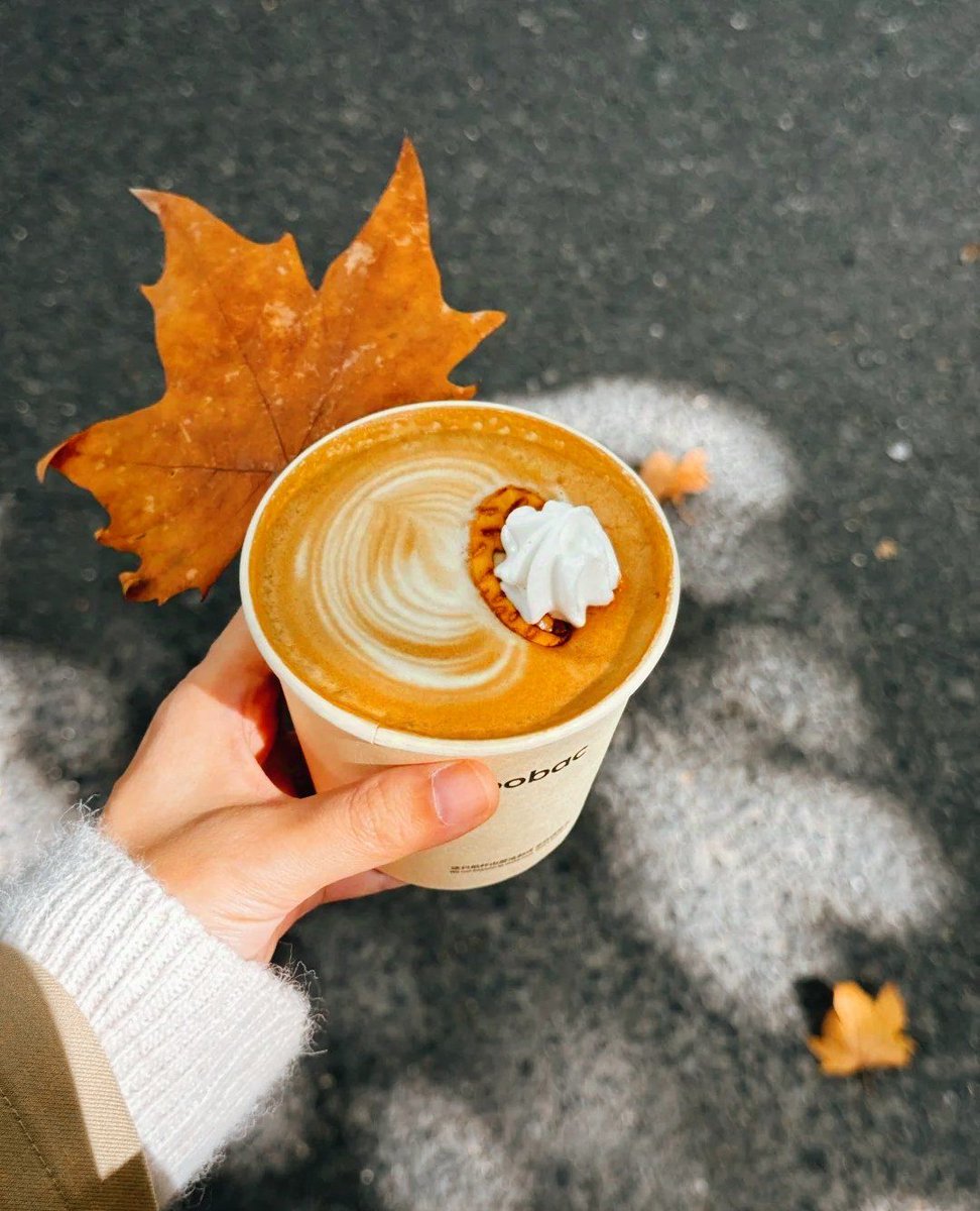 aaxcvmm's tweet photo. [Today’s autumn equinox brings a perfect 12-hour day and night—grab a warm drink, savor this quiet balance ]， https://t.co/JIRu7e1xMM