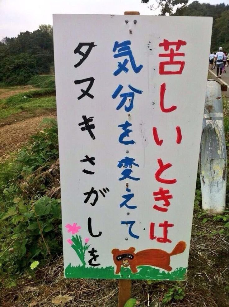 tantantanuki38's tweet photo. 苦しいときは気分をかえてタヌキ探しを。

タヌキはありとあらゆる不調に効きます
なので本日は市原ゾウの国さんに行ってきます https://t.co/HgvoS08ZmQ