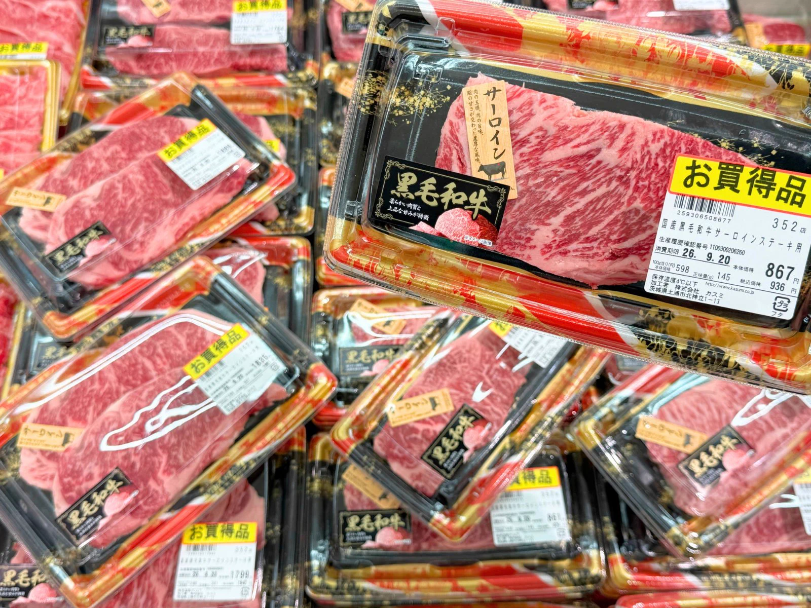 ヤワゲネズミ　プチラット　120匹　送料込み 株式会社カスミ on X: 