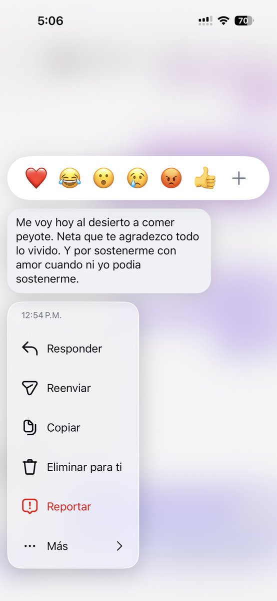 michsan246's tweet photo. simplemente el amor de mi vida, ojalá el peyote haga que volvamos https://t.co/ypUtJRwDJj