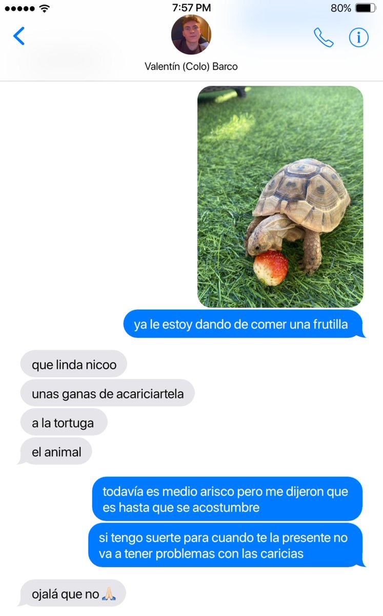03slakes's tweet photo. 026:
no aclares que oscurece igual el otro no caza una https://t.co/6ibhA2v1Hx