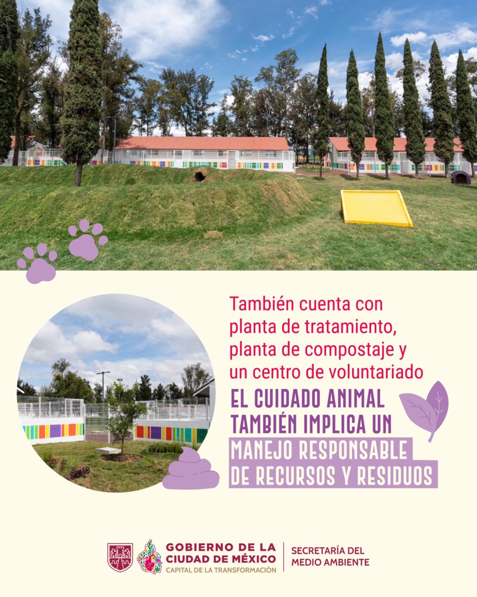SEDEMA_CDMX's tweet photo. En la Ciudad de México impulsamos el bienestar y la convivencia animal.

El nuevo Centro Integral de Bienestar y Convivencia Animal se enfoca en el rescate, cuidado y rehabilitación de perritos en situación vulnerable, de acuerdo con las necesidades de cada uno.

Conócelo. https://t.co/IiU0QDCZpB