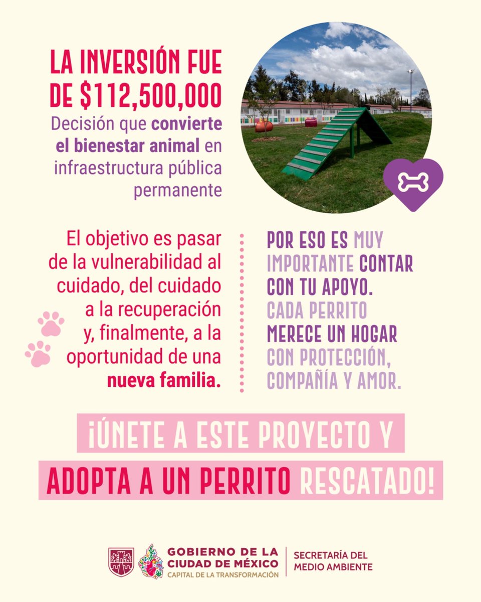 SEDEMA_CDMX's tweet photo. En la Ciudad de México impulsamos el bienestar y la convivencia animal.

El nuevo Centro Integral de Bienestar y Convivencia Animal se enfoca en el rescate, cuidado y rehabilitación de perritos en situación vulnerable, de acuerdo con las necesidades de cada uno.

Conócelo. https://t.co/IiU0QDCZpB