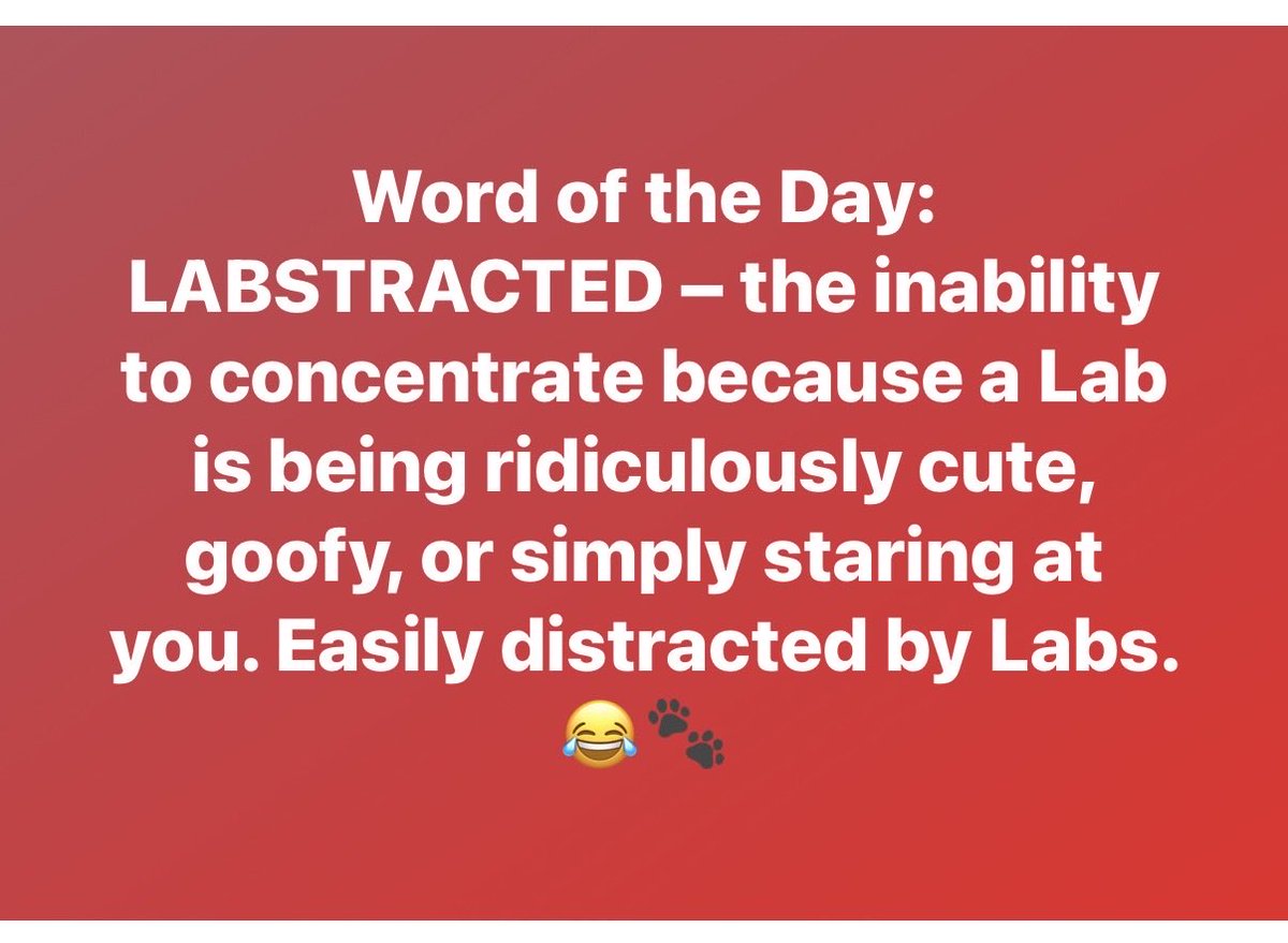 Biglablover3's tweet photo. 🐾🐾 totally 🐾🐾 !!! https://t.co/Tiwwh2iDGM