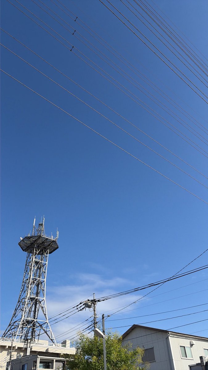 nkvonxd's tweet photo. 久しぶりに晴れて気持ちいい☀️
洗濯日和だし、過ごしやすいし秋晴れって感じですね！！

本日も安全運転で頑張りましょー💪 https://t.co/9HIn5z4YCC
