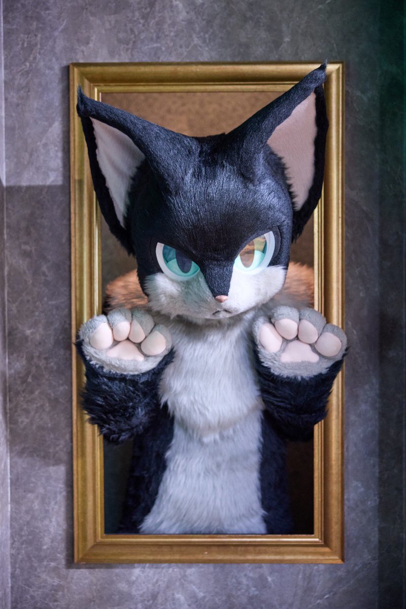 KenichiWakisak1's tweet photo. リゲルくんがお家に来てから今日で４年〜🐈‍⬛✨
あっという間だったけど、これからもよろしくお願いします〜！
#FursuitFriday https://t.co/ZoyK9fIYU2