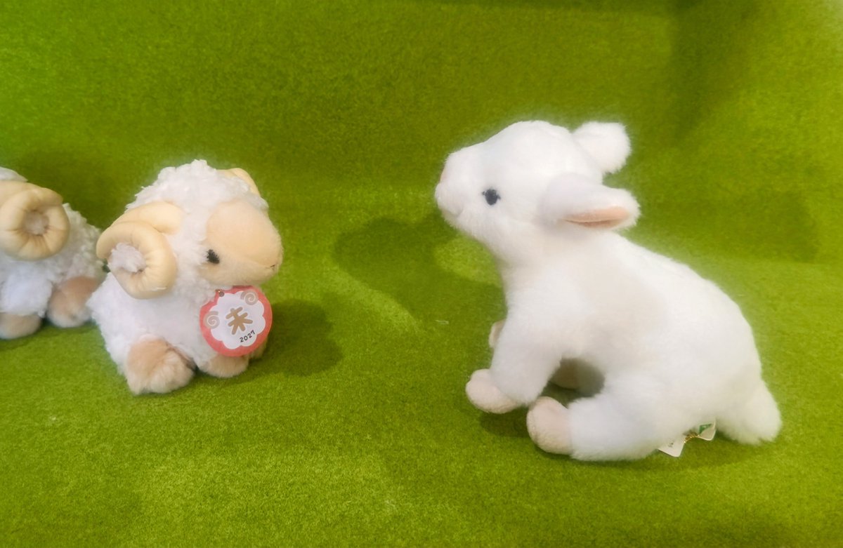 ystk_shiroi's tweet photo. 🐐やぁ未さん！🐏あっ、ヤギさんこんにちは！🐐後で僕たちの牧場に遊びにおいでよ！🐏うん！🐐ウシ今からお客様来るよ、あっ来た！こちら未さんだよ！🐮モー知ってるよ！我らは偶蹄目のなかまだよ☺️🐐🐏へぇ～🐮同じ仲間の鹿さんも呼んでお茶しよう☺️＃吉徳 ＃吉徳 ＃ぬいぐるみ ＃干支ぬいぐるみ未 https://t.co/qZWA3KAKIP