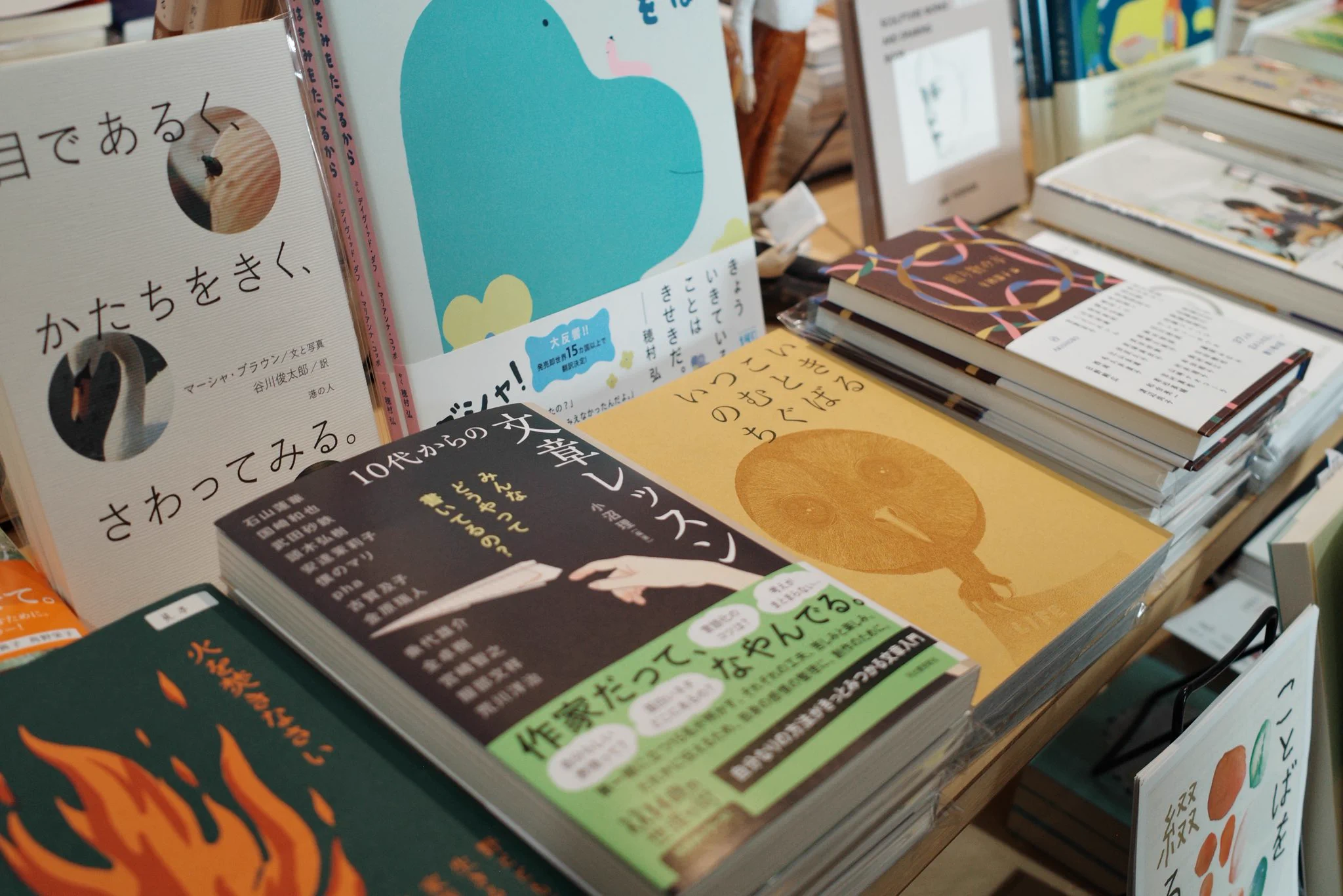 安達茉莉子🦦mariko adachi (@andmariobooks) / X