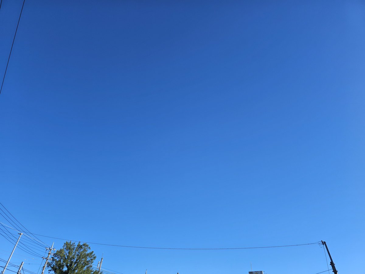 finke1010's tweet photo. 快晴 https://t.co/NLhEc8WovU