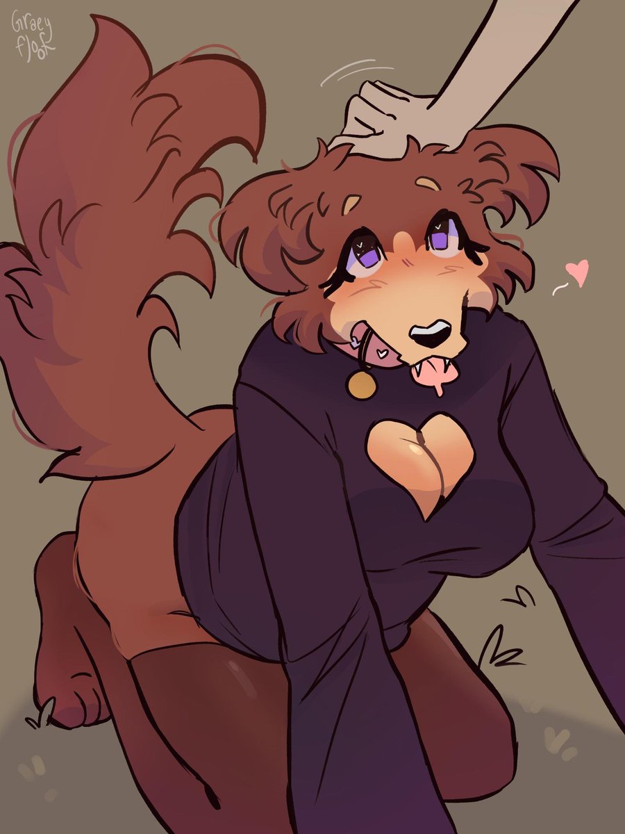 GraeyFloof's tweet photo. Pets 4 Juno! https://t.co/fgqoNIb2Jl