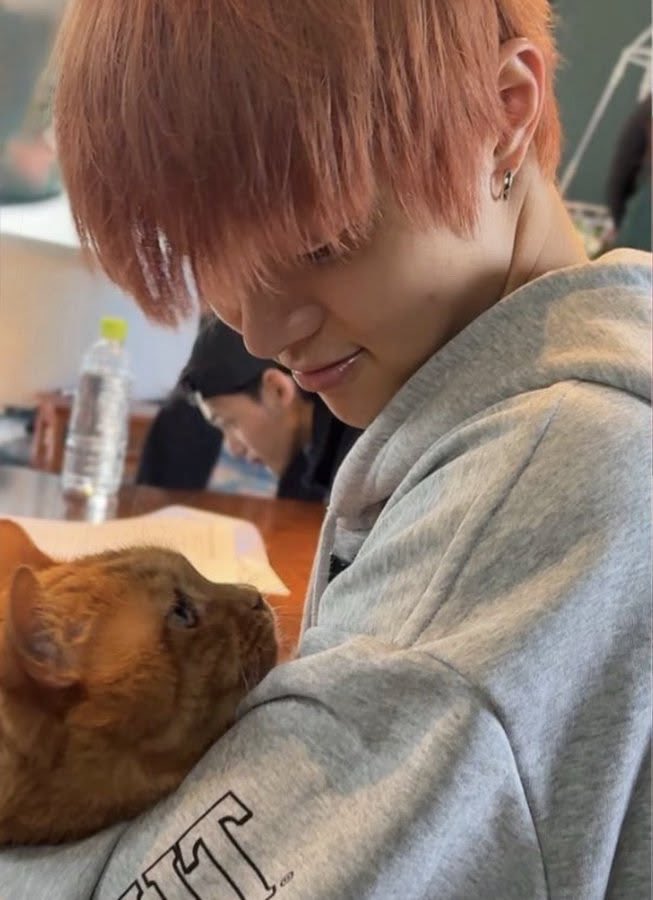 wijuification's tweet photo. this picture single handedly saved my life https://t.co/P89bHKQ1Hw