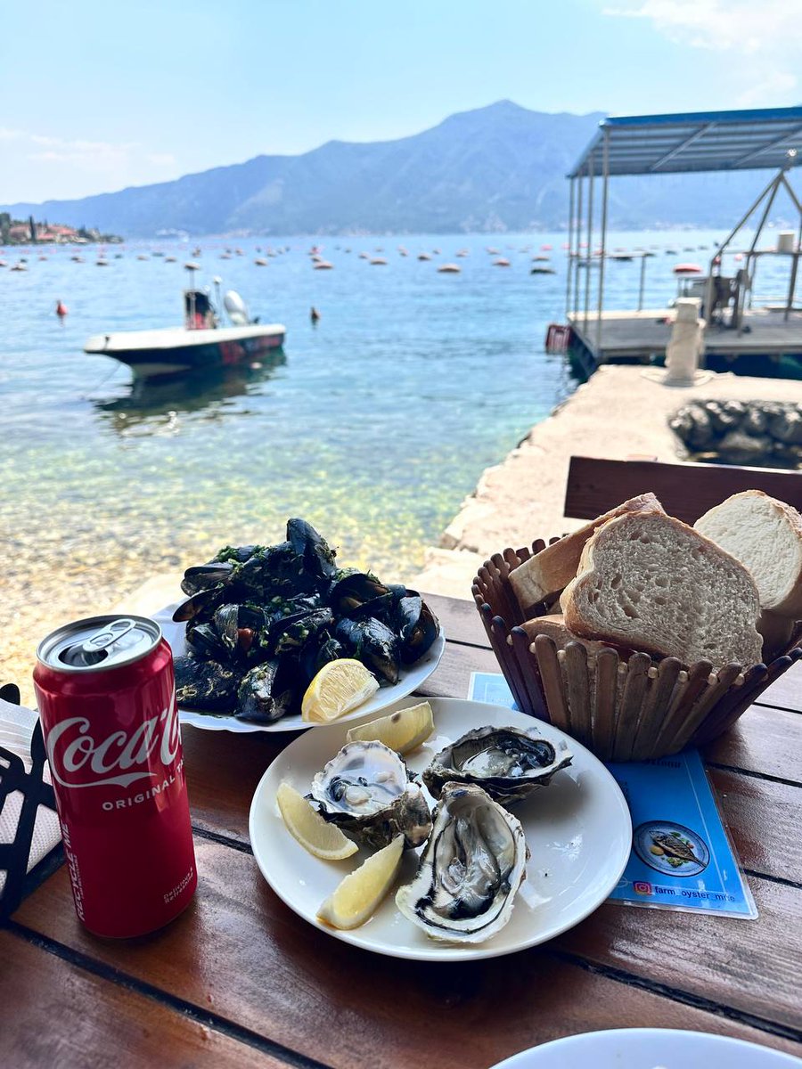 DellaEasthvy's tweet photo. A new oyster farm in Kotor! If you love seafood, don’t miss it. Enjoy fresh oysters, mussels in garlic sauce, and pan-fried fish, all sourced straight from the sea. The flavors are especially appealing to Chinese palates. https://t.co/g9PhEXvbuB