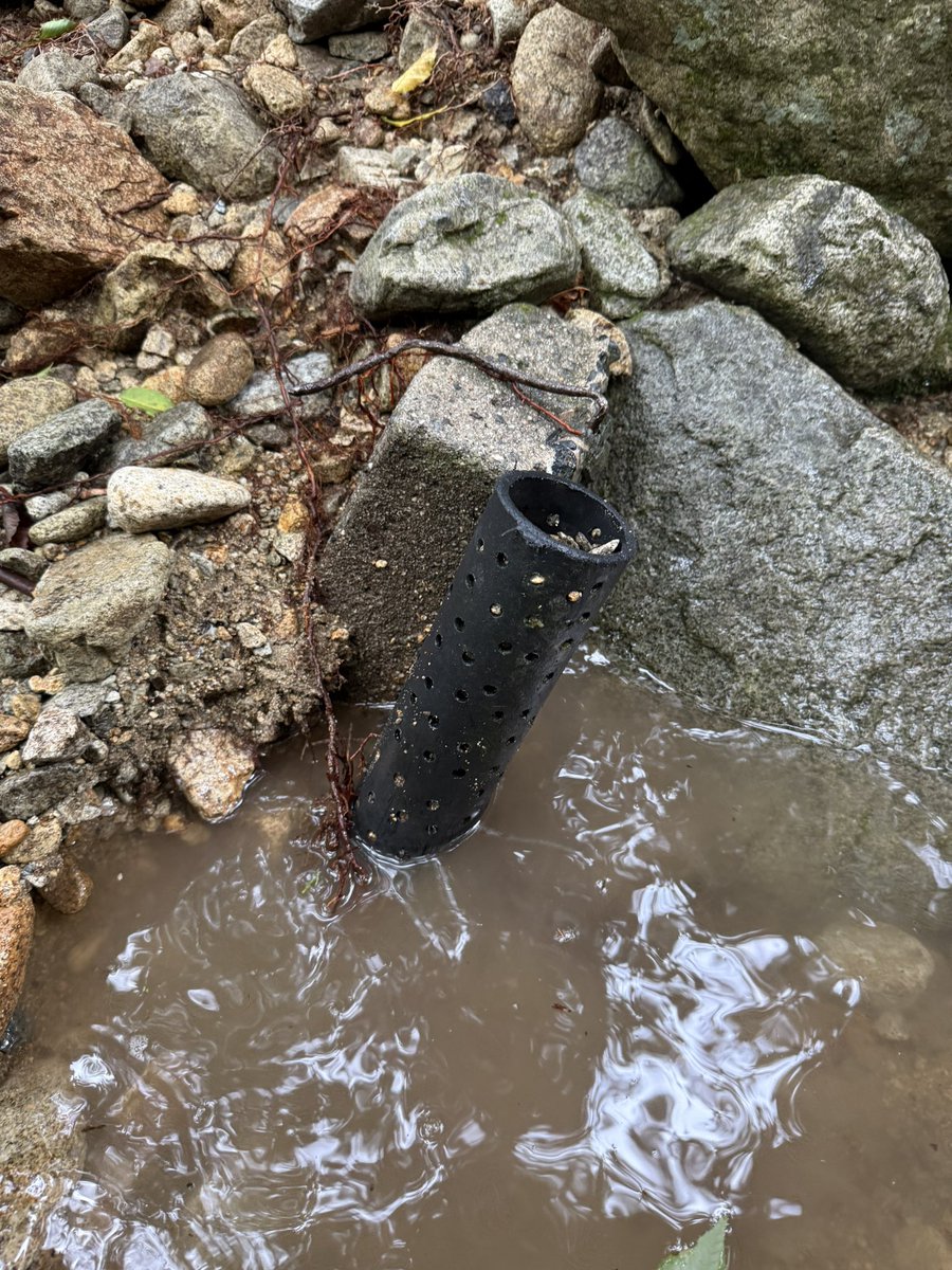cenyore's tweet photo. 先日の雨による増水で取水できなくなったところを復旧しに来ましたが、ダメでした…
ジンリキでは限界がありますね

っていうか、専門外でしたな！ https://t.co/MaDdOAxzoY