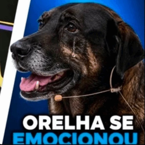OguiriLARP's tweet photo. Tímpano???www? https://t.co/jyxmNjWYRT