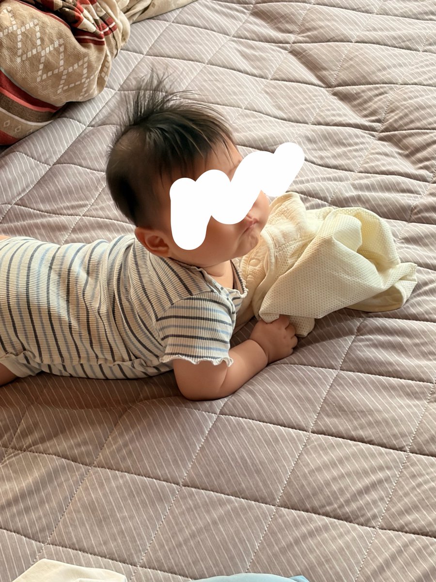 nokofree's tweet photo. 6m6d(190日)
寝返りがえり習得！！
1回で結構移動するね！大変だ！ https://t.co/J8cqlrOgkC