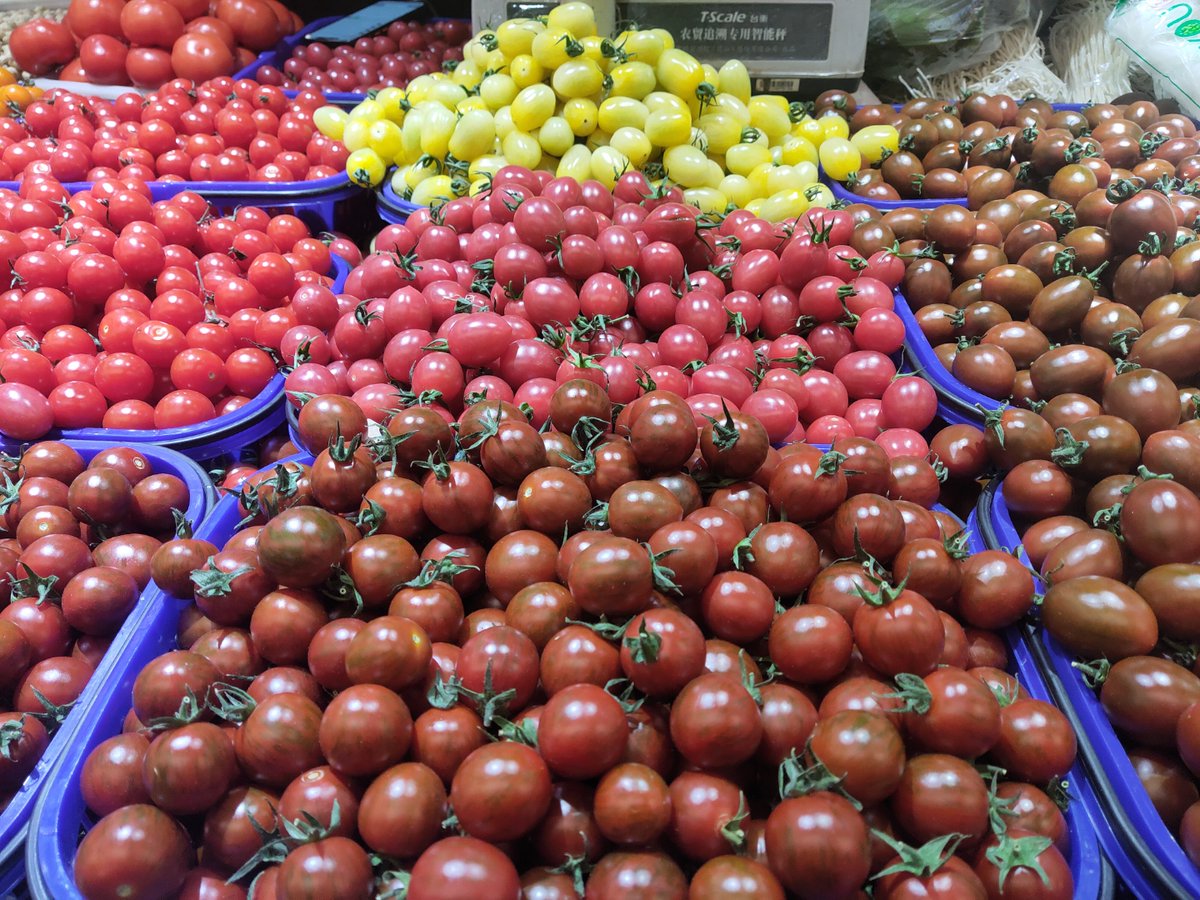 gimbomi956272's tweet photo. Fresh, local tomatoes u0026 basil are in stock now! Grab them to make a quick, mouthwatering caprese salad—perfect for your midweek meal. https://t.co/lmwFOqhszV