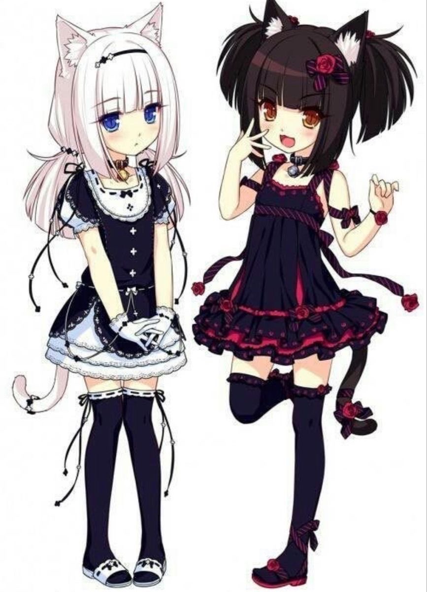 myokoluv's tweet photo. THEYRE SO CUTE LIKE THISSS https://t.co/3ZXSNBY0V0
