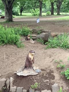 DouglasMoostn's tweet photo. Golfer Collin Morikawa creating core memory for young fan https://t.co/okm0sID9G6