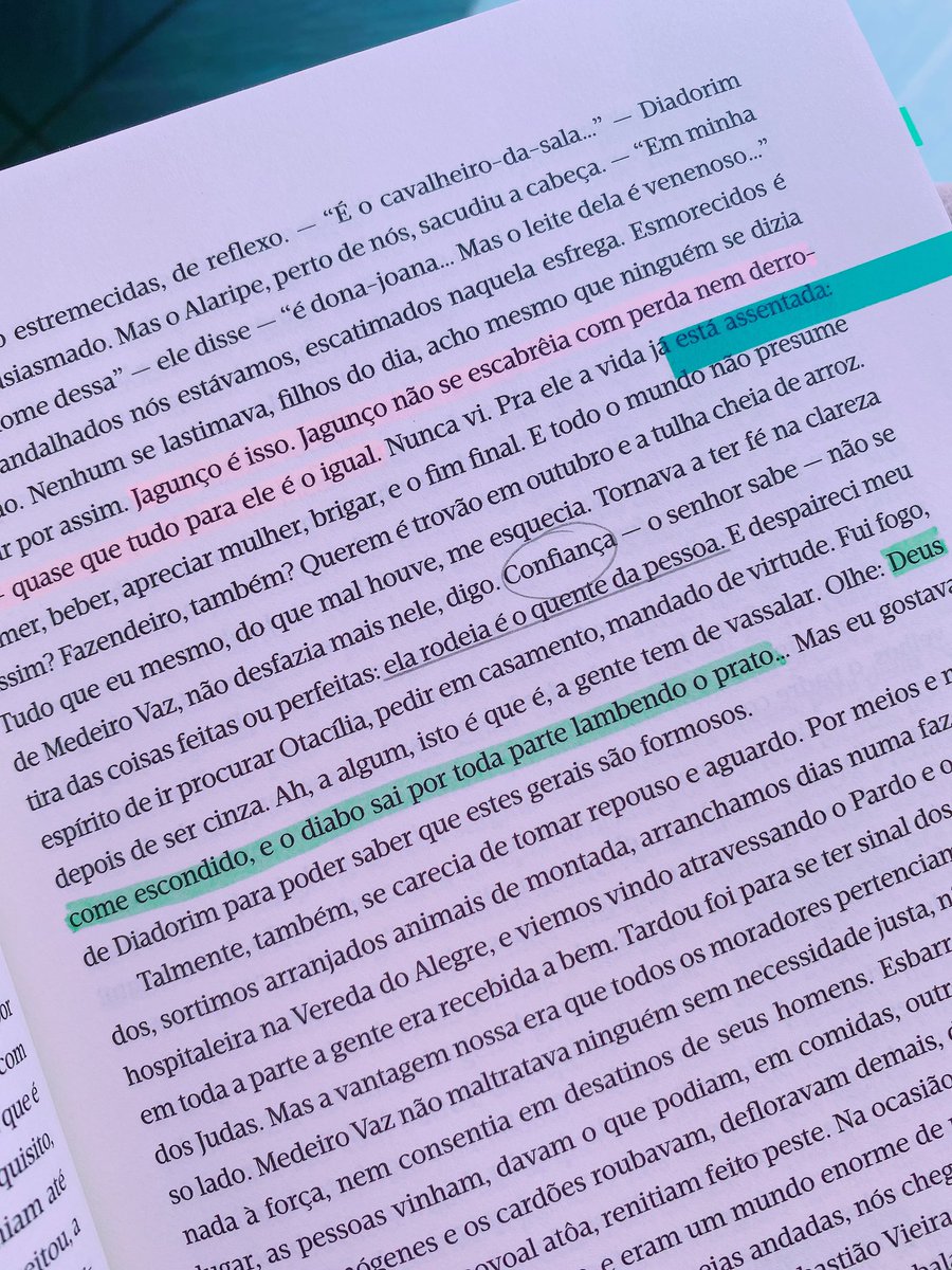 angsread's tweet photo. Iniciei “Grande Sertão: Veredas” e me deparei com dezenas de nomes para a figura do diabo em uma mesma passagem. É um privilégio ler Guimarães Rosa em português. (Tenho uma curiosidade genuína de saber como tudo isso foi traduzido para outras línguas). https://t.co/9zykjOApBb