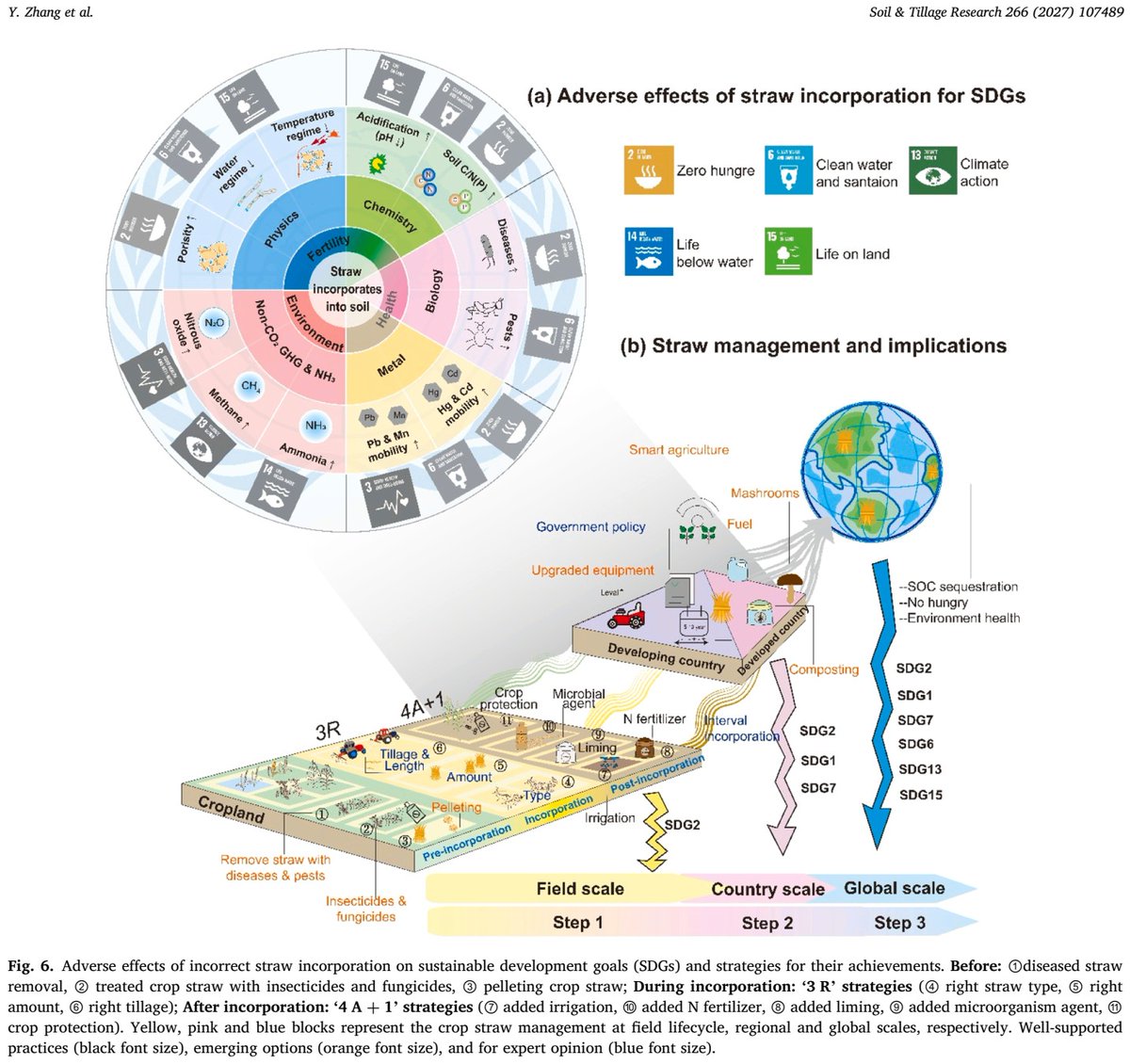 ykuzyakov's tweet photo. 💥NEW in Soil and Tillage Research
Straw incorporation dilemma: A critical #review of challenges and solutions for sustainable #straw #management
https://t.co/uclBRlXjnu

50-day Free: https://t.co/fg6rI8ThFe

#SoilOrganicCarbon #soilhealth #nitrogen #carbon #landuse #agriculture https://t.co/hY333VMSoz