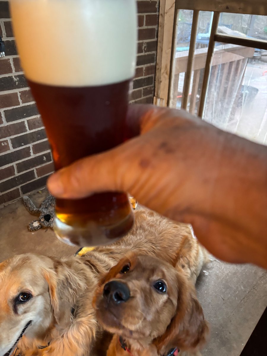 WillyKman's tweet photo. Loving the HomeBrew Bitter !!! https://t.co/9AycKnKhwN