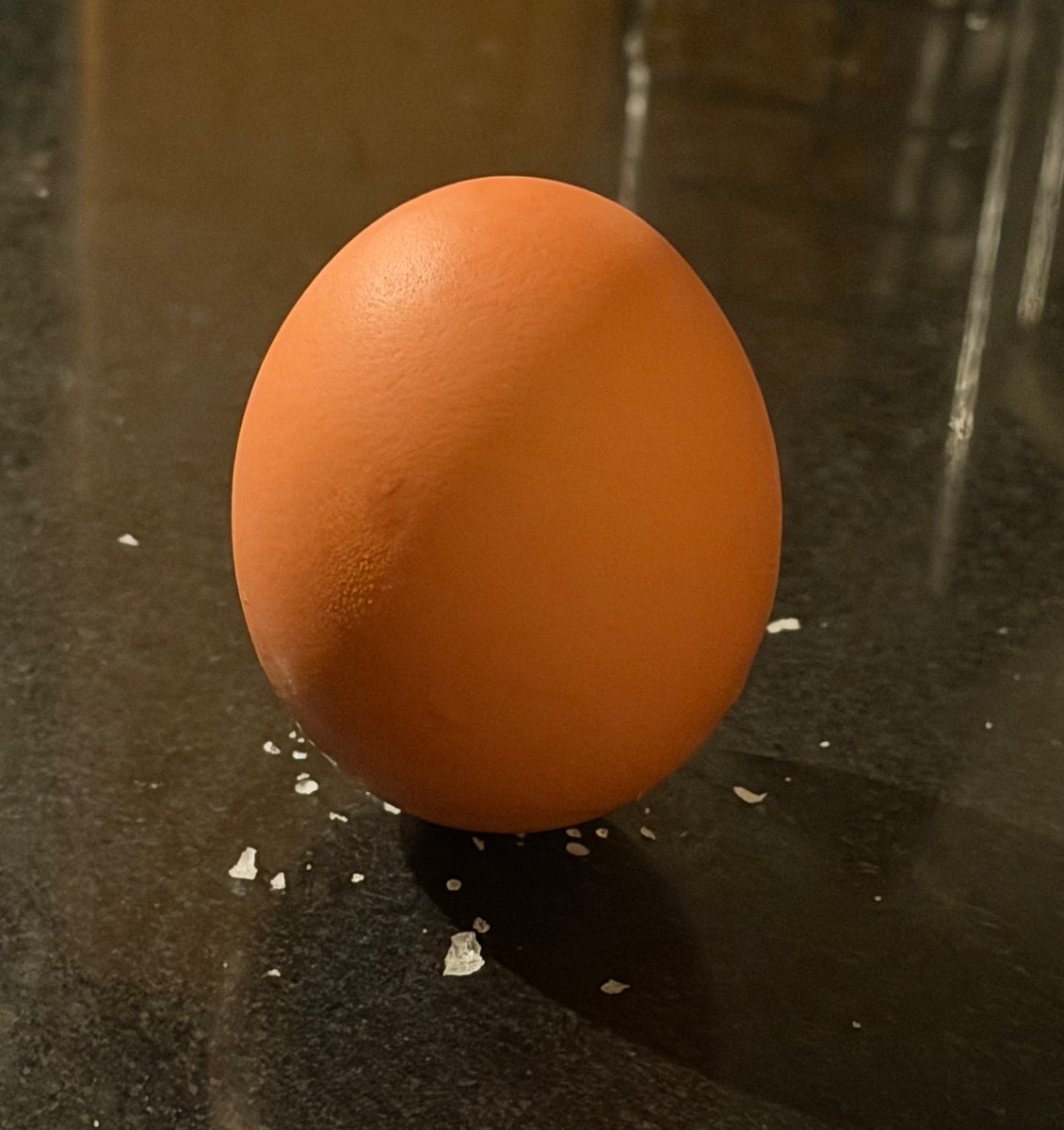 CaryKelly11's tweet photo. Sunny side up eggs
Scrambled eggs
Boiled eggs
Poached eggs
are four completely different meals.
No other single food can flex like that. https://t.co/caMMydtHzO