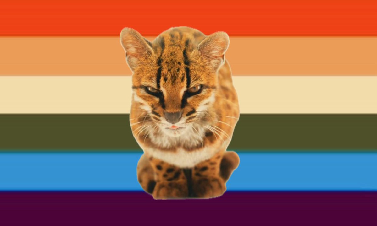 gKranberry's tweet photo. last one i swear

new cat lgbtq+ flag, for the lgbtq+ that love the new cat https://t.co/TCLdWW6Nc2