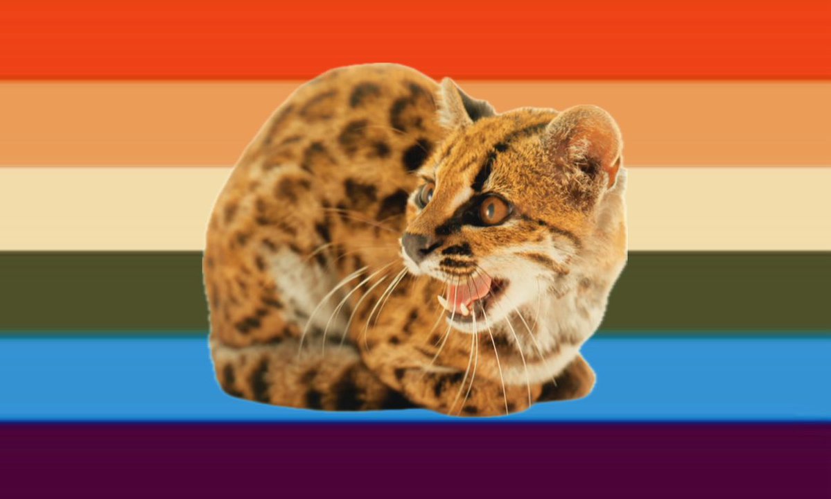 gKranberry's tweet photo. last one i swear

new cat lgbtq+ flag, for the lgbtq+ that love the new cat https://t.co/TCLdWW6Nc2