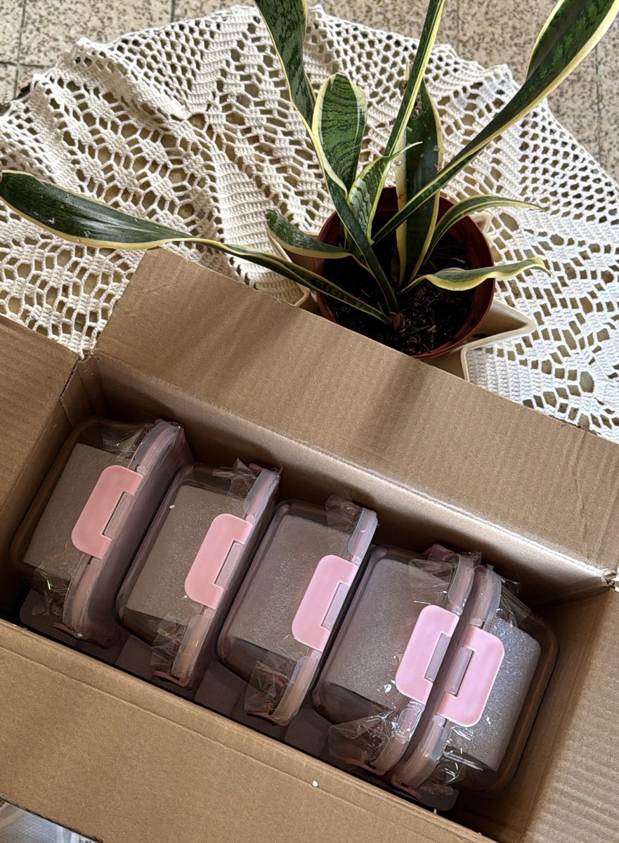 eunicegmtz's tweet photo. Set rosita para mis meal preps, ando insoportable oigan 🦦💗 https://t.co/sp6uT4I6Um