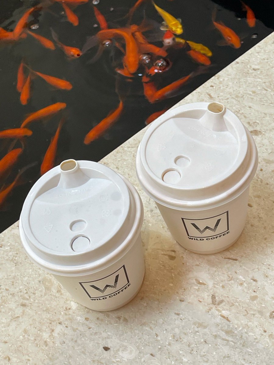 Pinky_day12's tweet photo. My intern accidentally used the company’s branded coffee mug to feed our office goldfish this morning. Now we have a rule: “Mugs are for humans… mostly.” https://t.co/HtkPIttkPK
