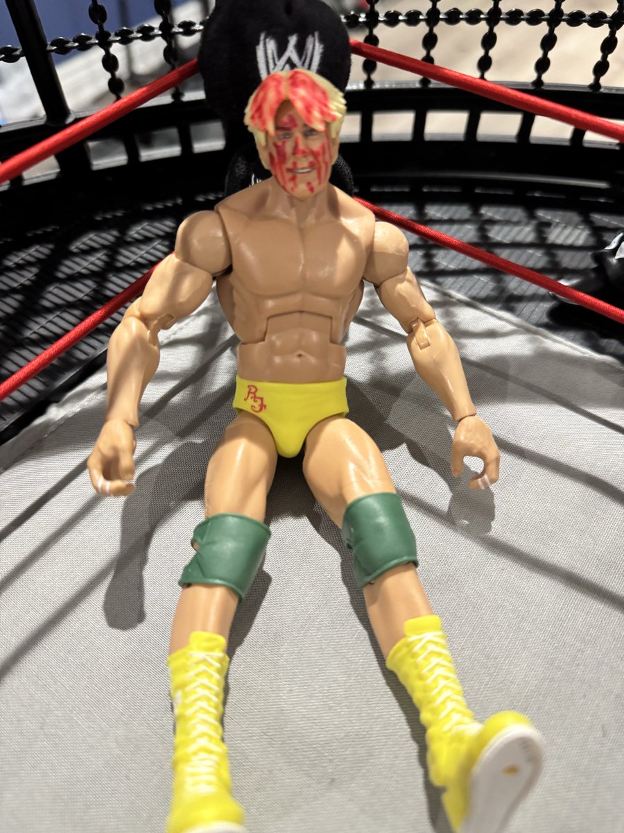 WrestlinGifs's tweet photo. ngl even all these months later I still feel like a kid seeing the chamber playset lol, 

best purchase ever 

here’s what’s going on these days in the man cave https://t.co/VC53uqYko5
