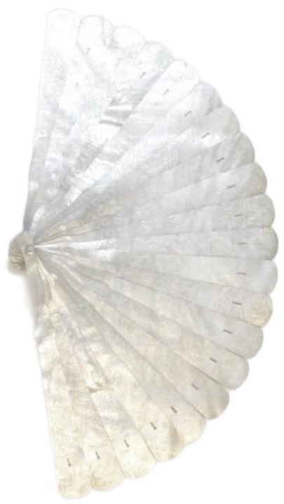 rosierpearl's tweet photo. mother of pearl fans https://t.co/YR7b8n6PIY