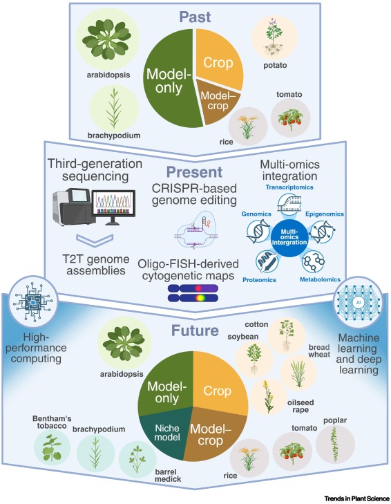 TrendsPlantSci's tweet photo. Have we entered a ‘post-model’ era in plant biology? https://t.co/l03zgr8VVJ #plantscience https://t.co/s43Yp0xReK