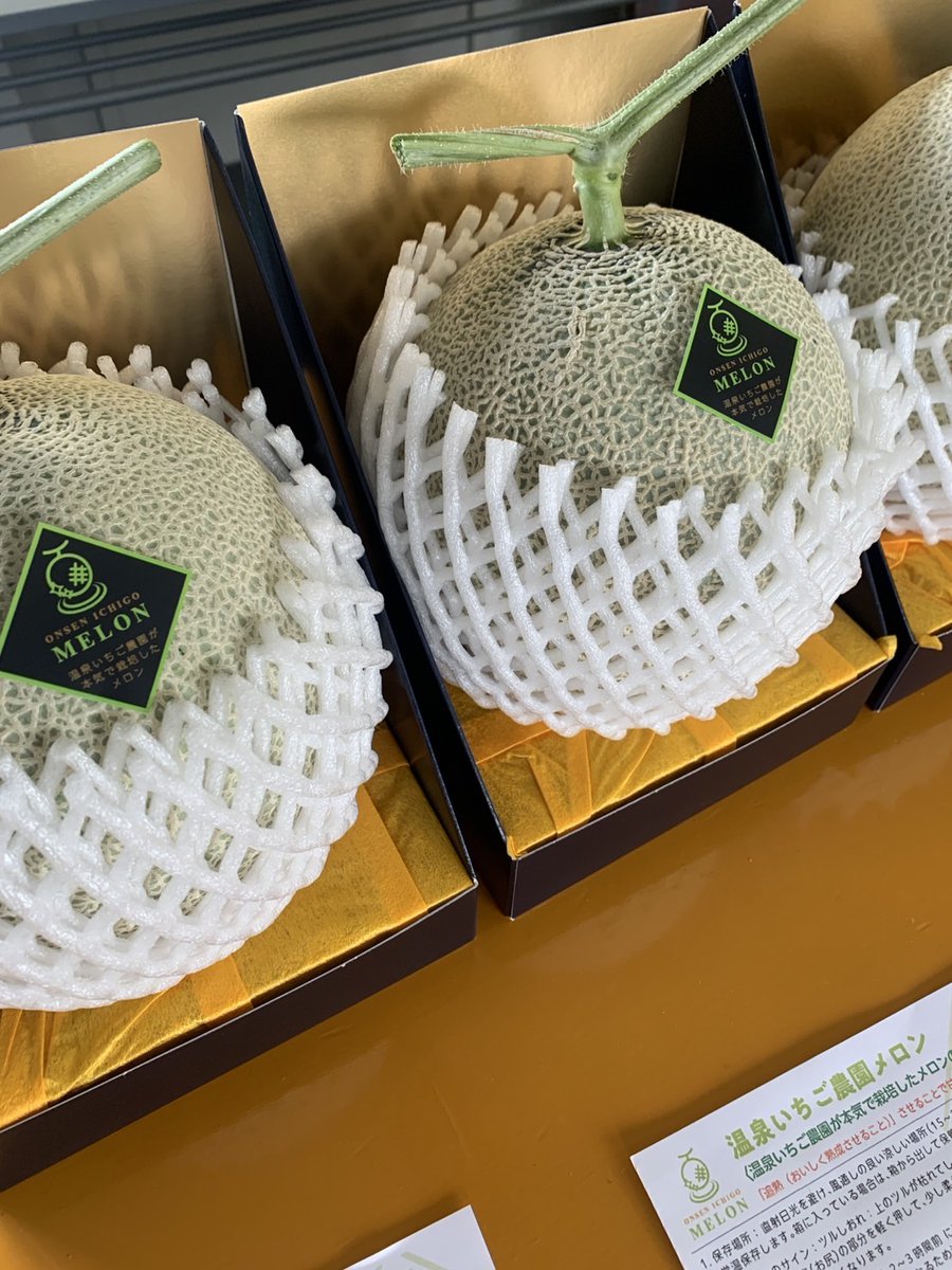 onsenichigo's tweet photo. ｢温泉いちご農園メロン｣
立派なものは贈答用箱出荷です♨️🍈
#温泉いちご農園メロン
#メロン #温泉いちご農園
#サステナブル
#メイワファーム
#6次産業化 https://t.co/oPrAkad93H
