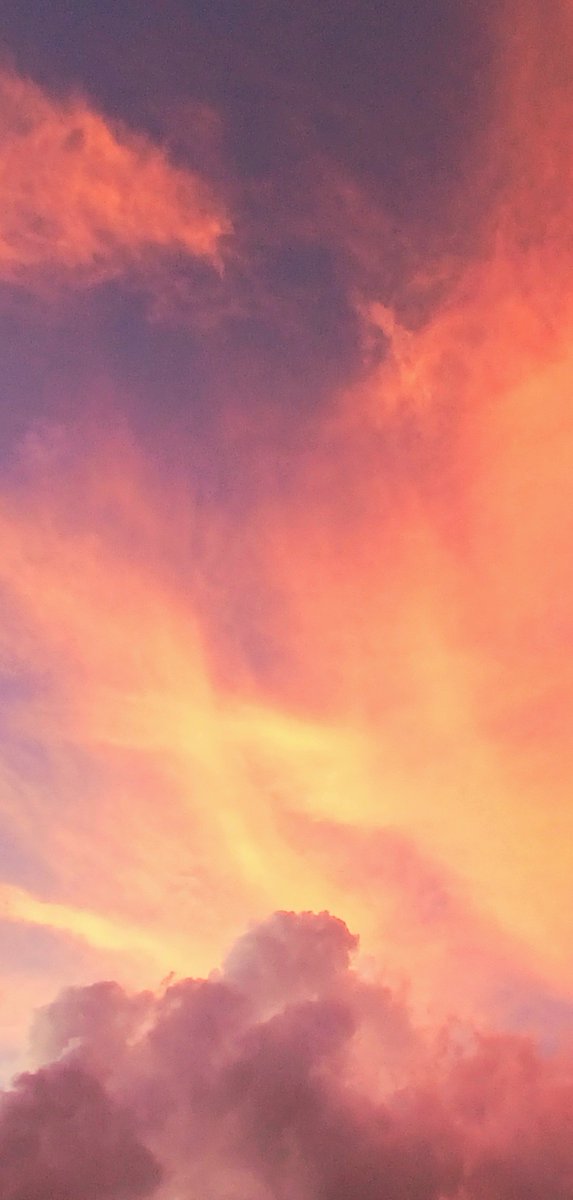 NaturalRosa474's tweet photo. Beautiful Sunsets 🌇 😍🌴 https://t.co/q5HZFWXkka