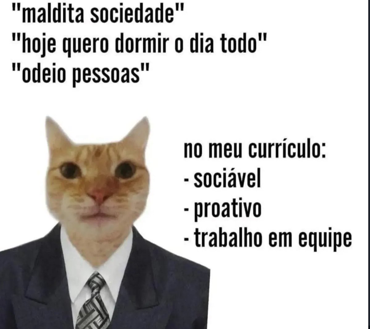 shitpostverdade's tweet photo. https://t.co/LD95cyjGx8