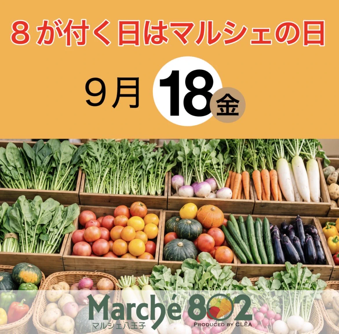 Marche802 on X: 