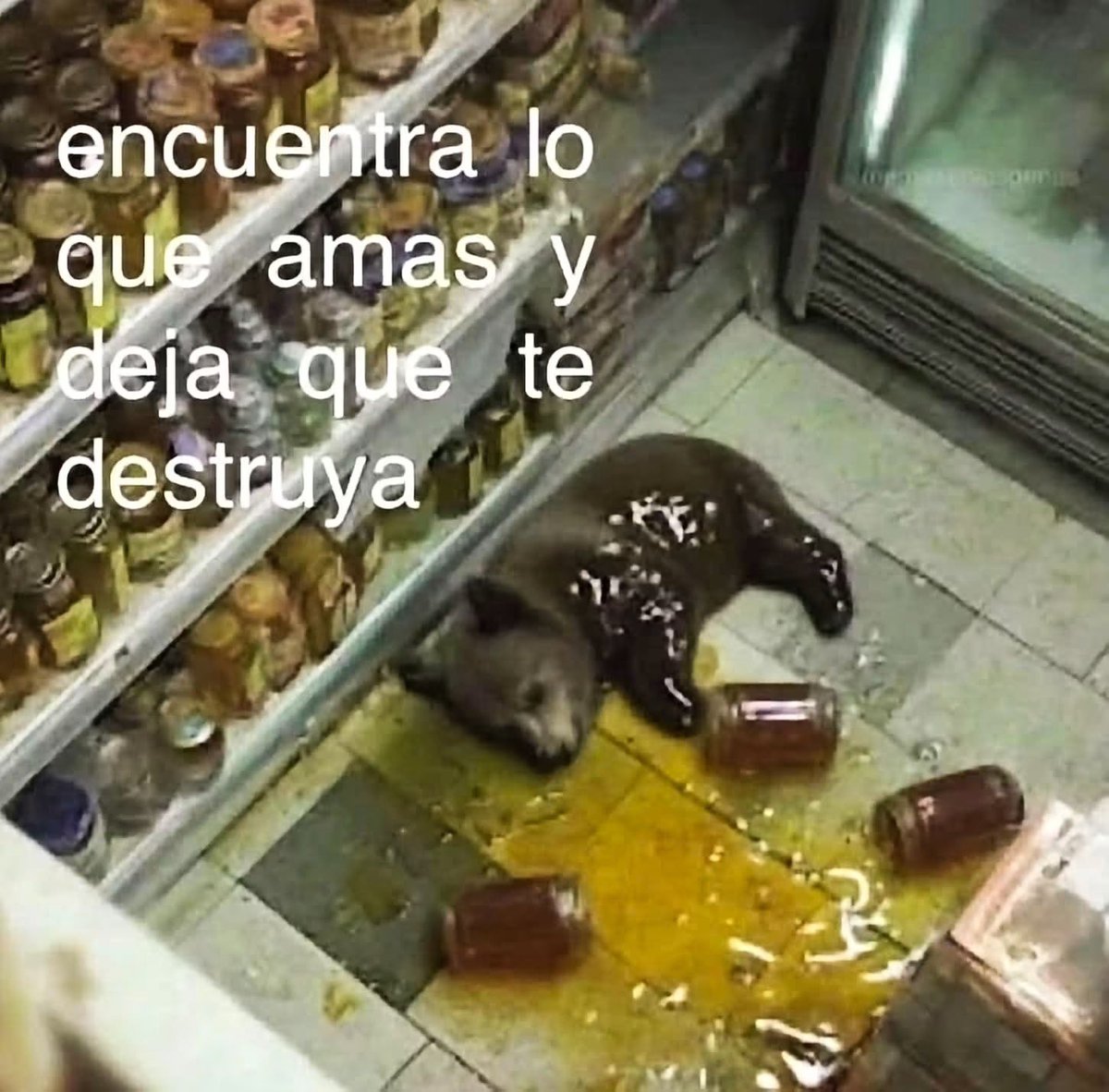 nacional_memes's tweet photo. 🐷 https://t.co/2GzeoimkMy